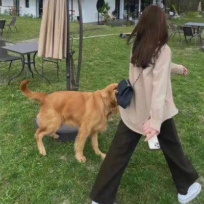 邪恶第四季